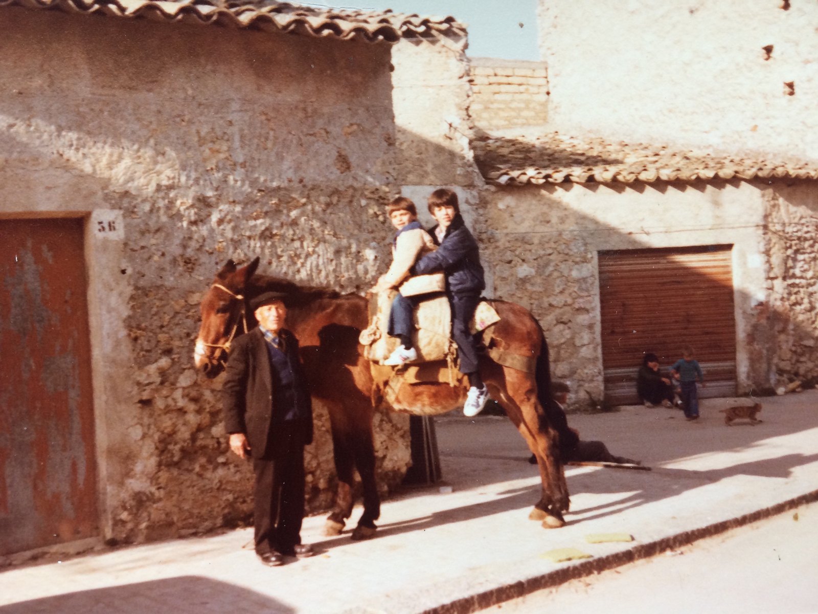A man in a flat cap and jacket stands holding the bridle of a laden mule in a sunlit village street, two boys sitting up on the pack saddle, the younger one at the front holding the reins. Behind them a stone house numbered 56, a shuttered doorway, other children sitting in the shade, and a cat crossing the road.